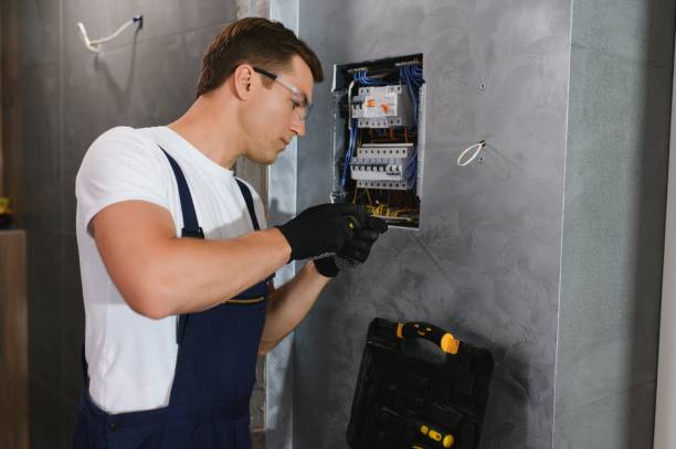 Best Local Electrician Companies  in Limesa, CA
